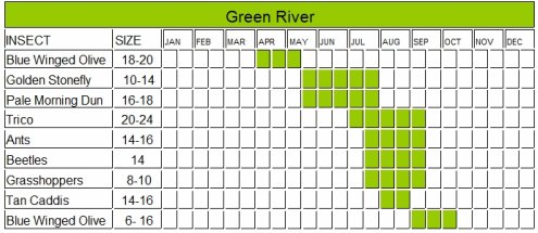 Ausable River Hatch Chart