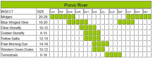 Provo River Hatch Chart
