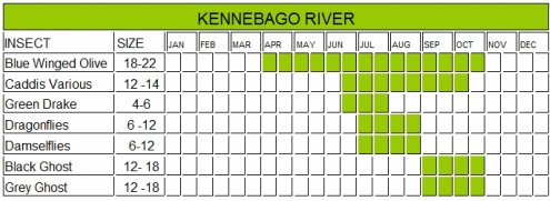 Maine Fly Hatch Chart