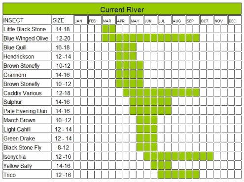 Current Creek Hatch Chart