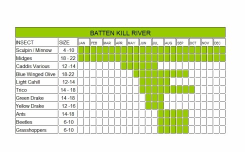 Battenkill River hatch chart