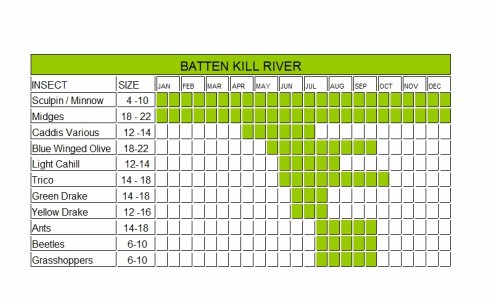 Michigan Fly Fishing Hatch Chart