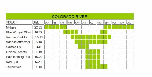 Michigan Fly Fishing Hatch Chart