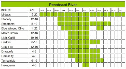 Michigan Fly Fishing Hatch Chart