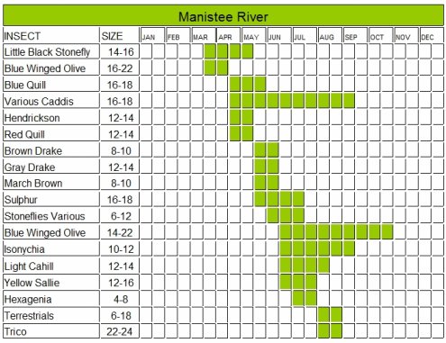 Manistee River Flow Chart