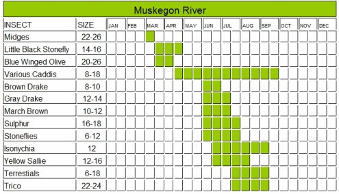 Pere Marquette River Hatch Chart