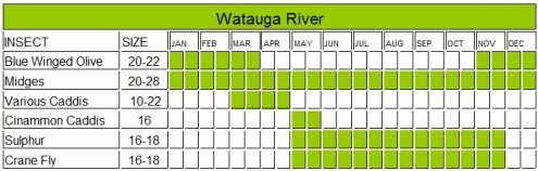 Guadalupe River Hatch Chart