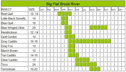 Nj Fly Hatch Chart