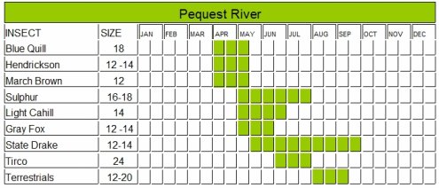 Delaware River Hatch Chart