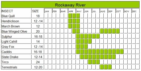 Nj Fly Hatch Chart