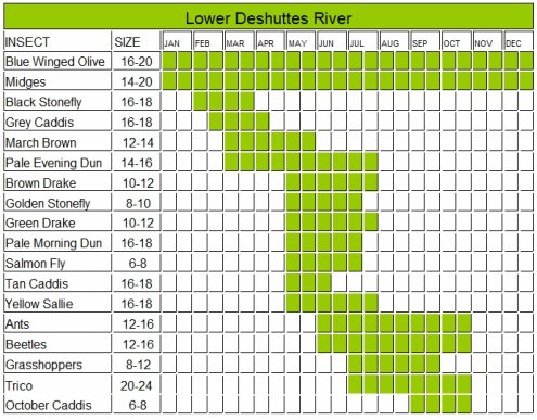 Deshutes River Hatch Chart