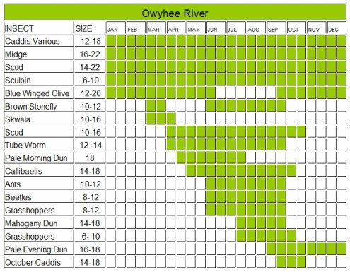 Fly Fishing Hatch Chart Michigan