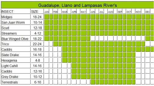 Guadalupe River Hatch Chart