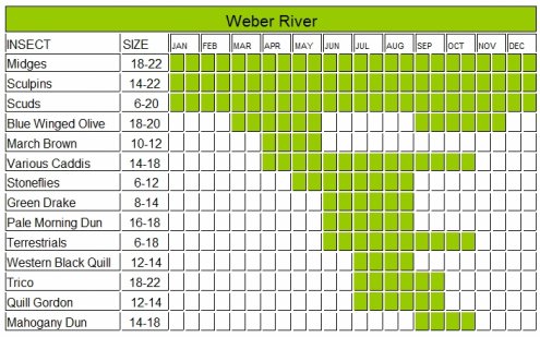 Bitterroot River Hatch Chart