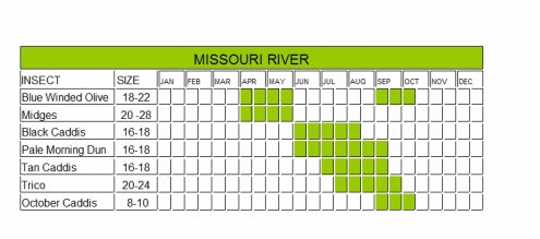 Bitterroot River Hatch Chart