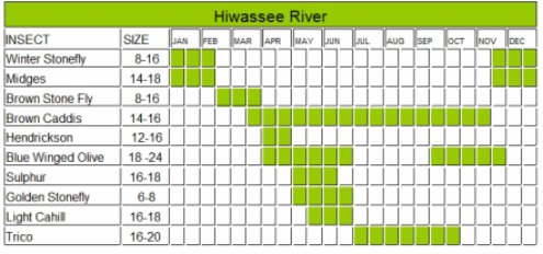South Holston River Hatch Chart