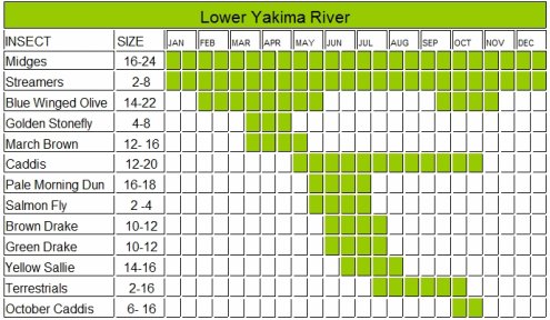 Yakima River Hatch Chart